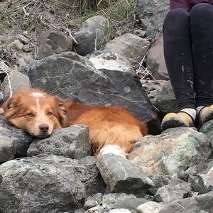 Meet your Posher, Jenna